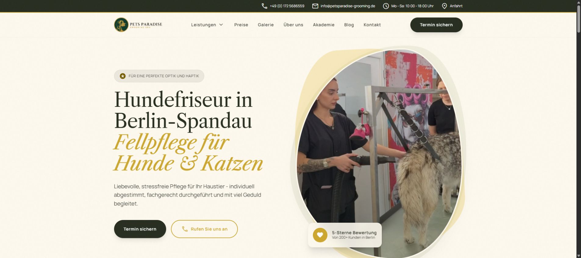 Website von Pets Paradise, gestaltet von unserem Team
